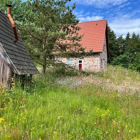 Haus Felsenbirne Im Bispinger Heidezauber Сasa de vacaciones